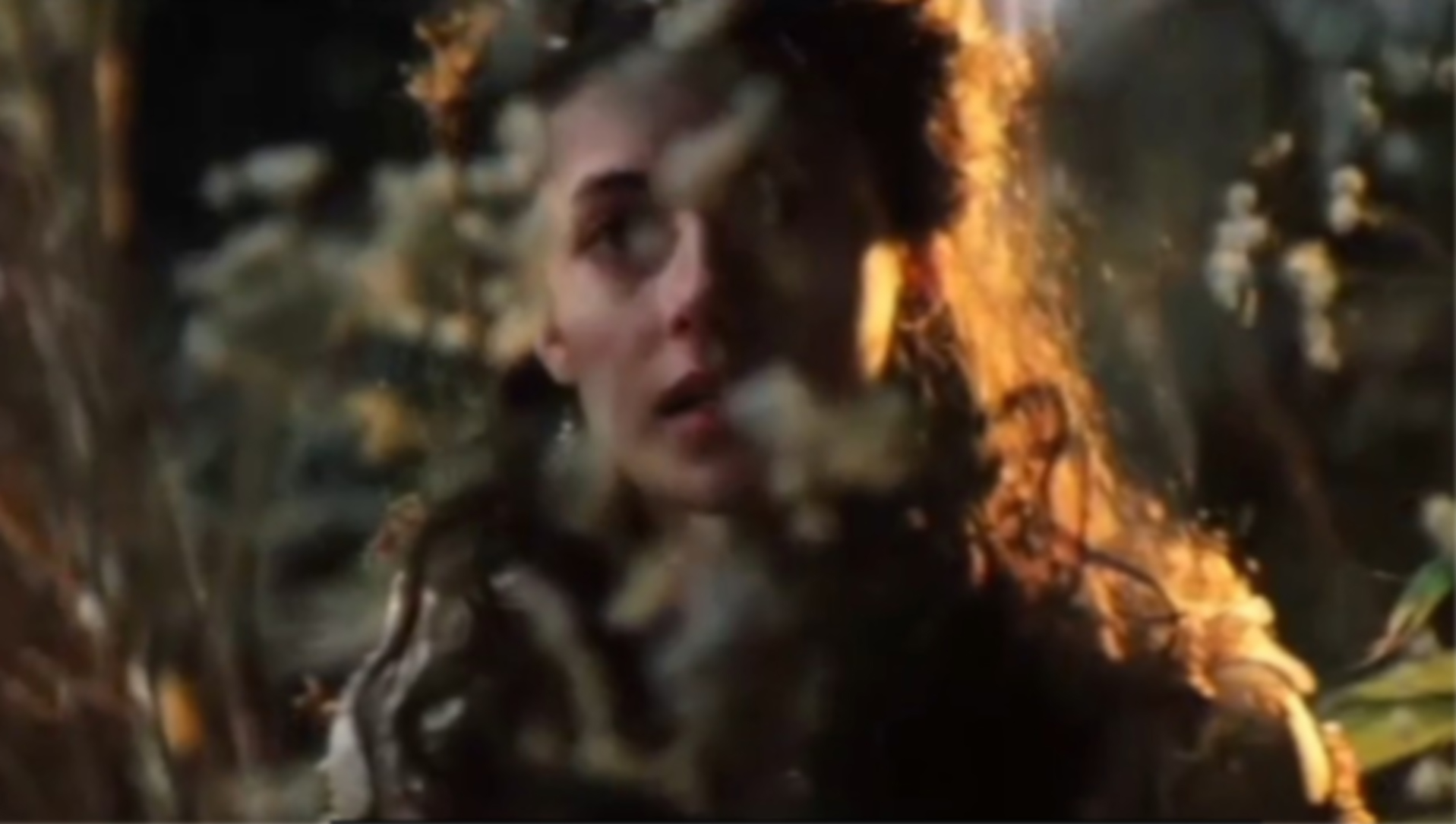 In the Woods (2026)